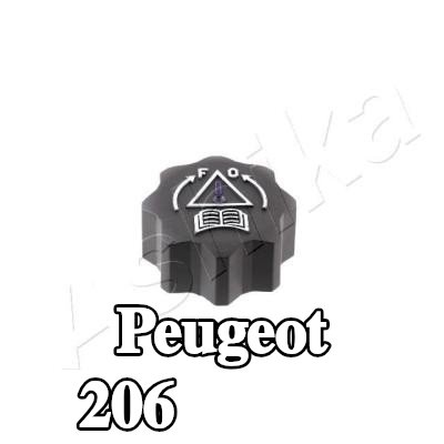 ASHIKA غطاء المبرد — Peugeot 206