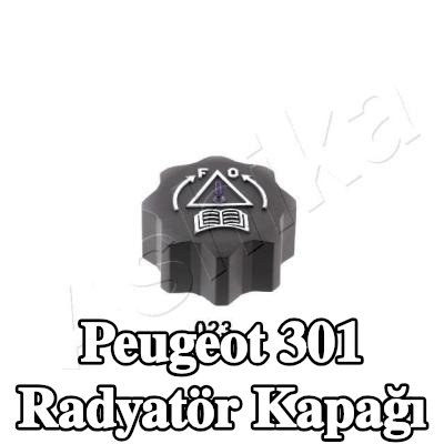 ASHIKA Radyatör kapağı — Peugeot 301