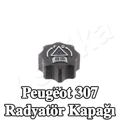 ASHIKA Radyatör kapağı — Peugeot 307
