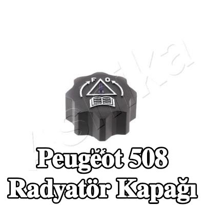 ASHIKA Radyatör kapağı — Peugeot 508