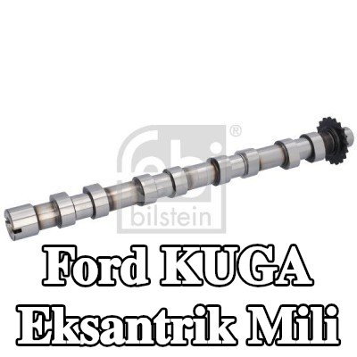 FEBI BILSTEIN Eksantrik Mili — 2012 Ford Kuga