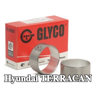 GLYCO محامل عمود الكامات — Hyundai Terracan