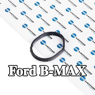 DR.MOTOR AUTOMOTIVE حشية غطاء التوقيت — Ford B-max