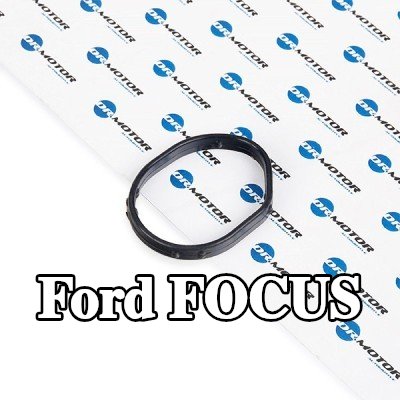 DR.MOTOR AUTOMOTIVE حشية غطاء التوقيت — 2016 Ford Focus