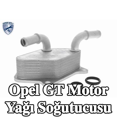 VEMO Conta/sızdırmazlık elemanları ile motor yağı soğutucusu, EXPERT KITS + — Opel Gt