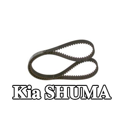 BOSCH عدد أسنان حزام التوقيت: 145, 1160mm — 2000 Kia Shuma