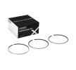 RIDEX Piston Segman Kiti — 2011 Hyundai Santa Fe (1)