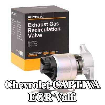 RIDEX Contalı/sızdırmazlık elemanlı EGR valfi — 2010 Chevrolet Captiva