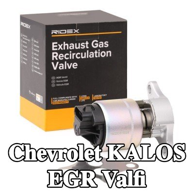 RIDEX Contalı/sızdırmazlık elemanlı EGR valfi — Chevrolet Kalos