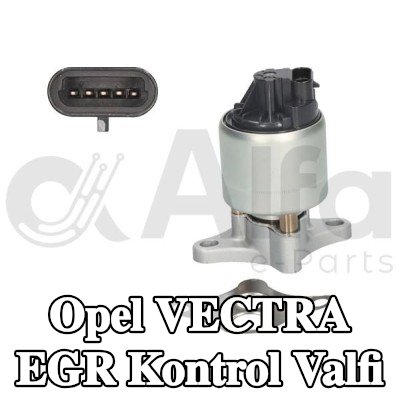 Alfa e-Parts Conalı/sızdırmazlık elemanlı EGR kontrol valfi — 1994 Opel Vectra