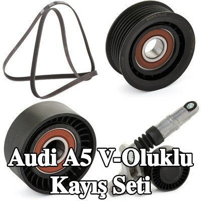 RIDEX PLUS V-Oluklu Kayış Seti — 2007 Audi A5
