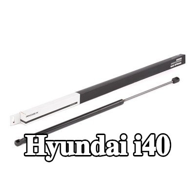RIDEX دعامة الباب الخلفي 666mm — Hyundai i40
