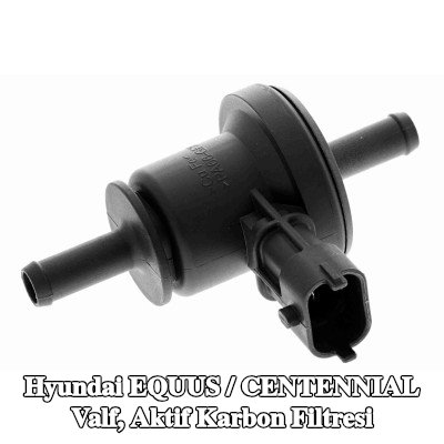 ACKOJA Valf, aktif karbon filtresi — Hyundai Equus / Centennial