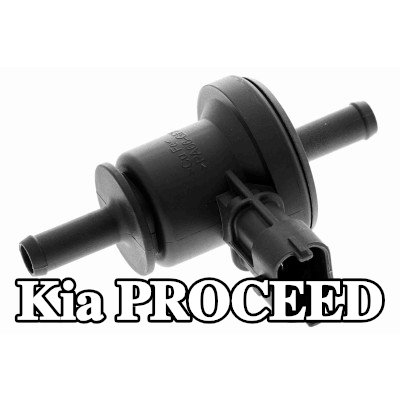 ACKOJA صمام، مرشح الكربون المنشط — 2012 Kia Proceed