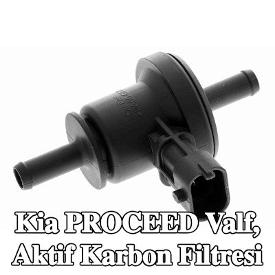 ACKOJA Valf, aktif karbon filtresi — 2012 Kia Proceed