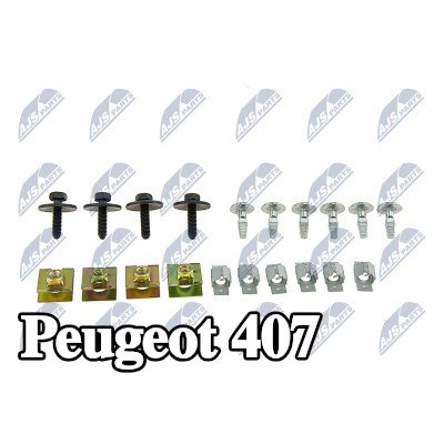 NTY مجموعة مشابك التثبيت، الهيكل — Peugeot 407