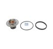 DT Spare Parts Termostat, yağ soğutma — Renault Master (1)