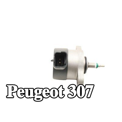 FAST مخمد النبضات، نظام إمداد الوقود — 2000 Peugeot 307