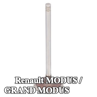 FEBI BILSTEIN صمام السحب — Renault Modus / Grand Modus