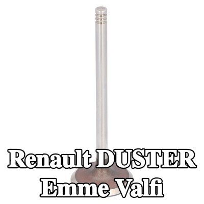 FEBI BILSTEIN Emme valfi — 2012 Renault Duster