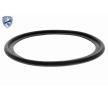 VEMO Conta/sızdırmazlık elemanlı motor yağı soğutucusu, EXPERT KITS + — 2002 Land Rover Range Rover (2)