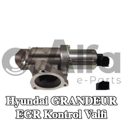 Alfa e-Parts Conta/sızdırmazlık elemanlı EGR kontrol valfi — Hyundai Grandeur