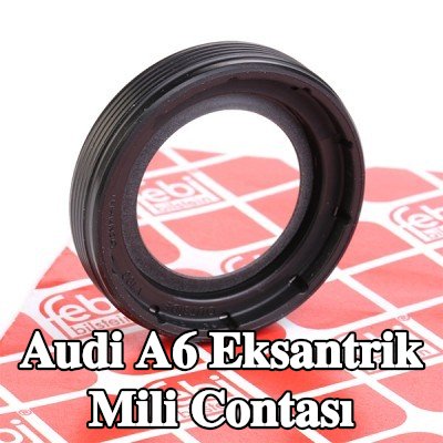 FEBI BILSTEIN Ön taraf eksantrik mili contası — Audi A6