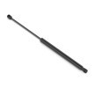 STABILUS Kaput destek çubuğu LIFT-O-MAT — 2012 Lexus Es (1)