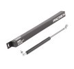 RIDEX Bagaj kapağı desteği 375mm — Honda Crx (1)