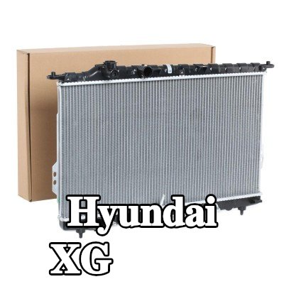 RIDEX مبرد المحرك من الألومنيوم, بلاستيك — Hyundai Xg