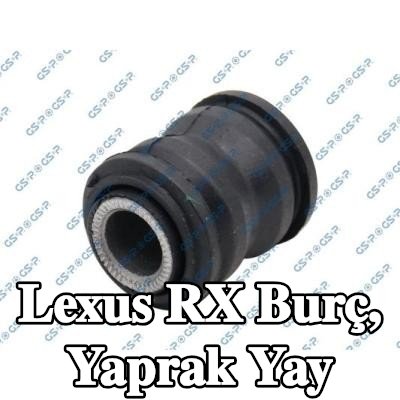 GSP Burç, yaprak yay — 2002 Lexus Rx
