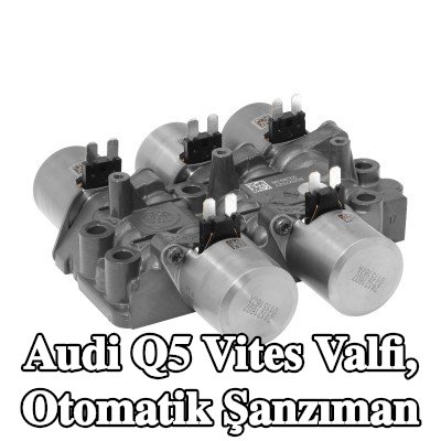 BorgWarner Vites Valfi, otomatik şanzıman — Audi Q5