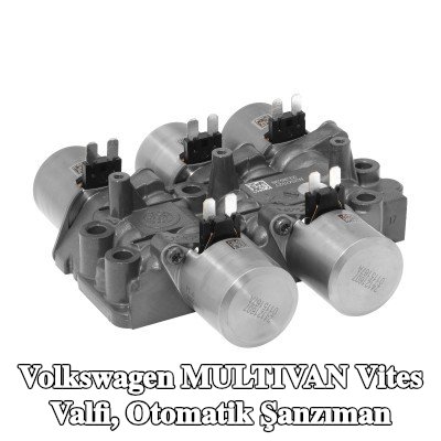 BorgWarner Vites Valfi, otomatik şanzıman — Volkswagen Multivan