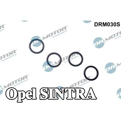 DR.MOTOR AUTOMOTIVE حلقة مانعة للتسرب، عمود الحاقن — Opel Sintra
