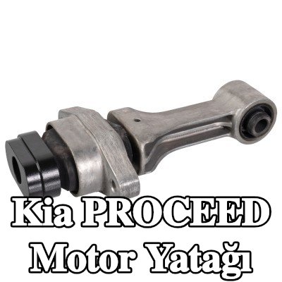 FEBI BILSTEIN Motor yatağı, arka — Kia Proceed