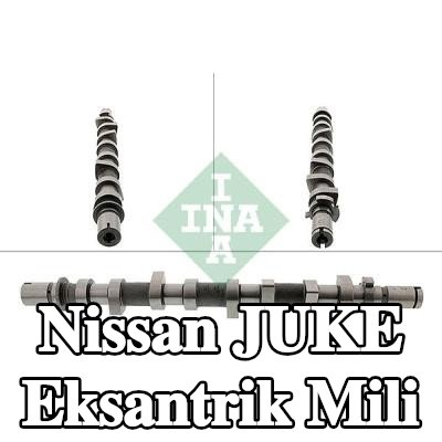 INA Eksantrik Mili — 2012 Nissan Juke