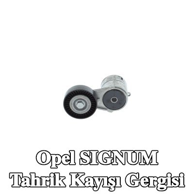 BOSCH Tahrik kayışı gergisi — 2003 Opel Signum