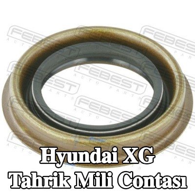 FEBEST Tahrik mili contası Sağ — Hyundai Xg