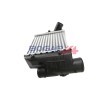 BOGAP Intercooler — 2003 Audi A8 (7)