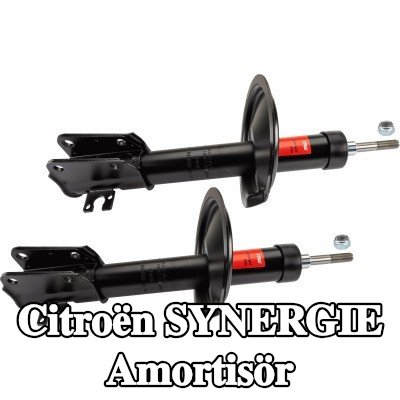 TRW Amortisör TWIN, Ön Aks, Yağ Basıncı, Süspansiyon Dikmesi — Citroën Synergie