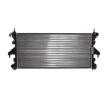 MAHLE Motor radyatörü — Citroën Relay (3)