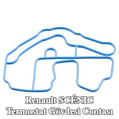 FEBI BILSTEIN Termostat gövdesi contası — 2012 Renault Scénic