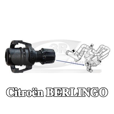 3RG سدادة مانعة للتسرب، شفة سائل التبريد — 2012 Citroën Berlingo