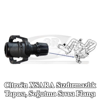 3RG Sızdırmazlık Tapası, soğutma sıvısı flanşı — 2011 Citroën Xsara