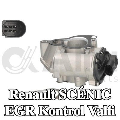 Alfa e-Parts Conalı/sızdırmazlık elemanlı EGR kontrol valfi — 2005 Renault Scénic