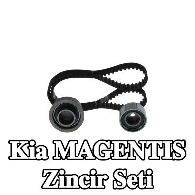 BOSCH Zincir Tahrik Kiti Diş Sayısı: 113, 1076mm — 2002 Kia Magentis