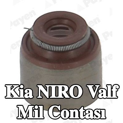 PAYEN Valf mil contası — Kia Niro