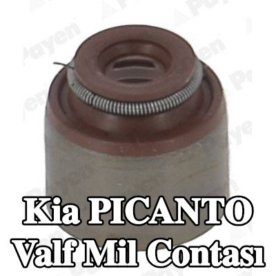 PAYEN Valf mil contası — Kia Picanto