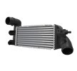 HELLA Intercooler — Peugeot 406 (1)