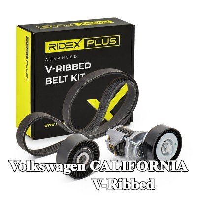 RIDEX PLUS مجموعة أحزمة V-Ribbed — 2012 Volkswagen California